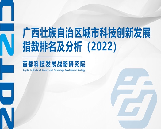 91烧逼【成果发布】广西壮族自治区城市科技创新发展指数排名及分析（2022）